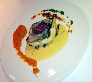 Filet de loup ou bar sauce normande aux pleurotes et purée de buternuts